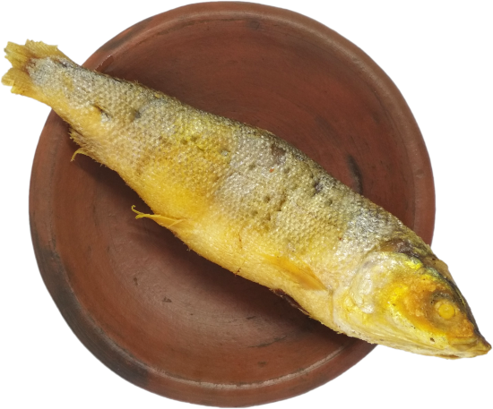 Ikan Bandeng